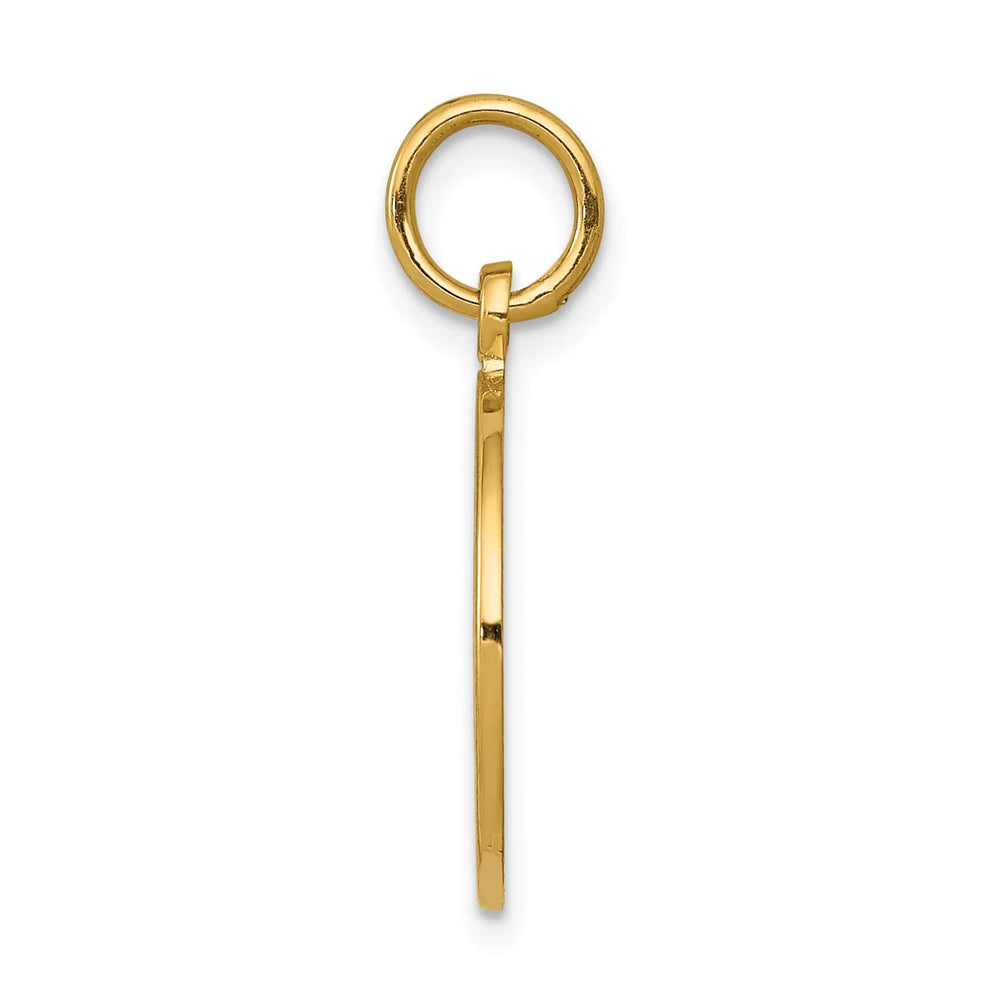 14K Yellow Gold Satin and Polished Communion Round Disc Charm