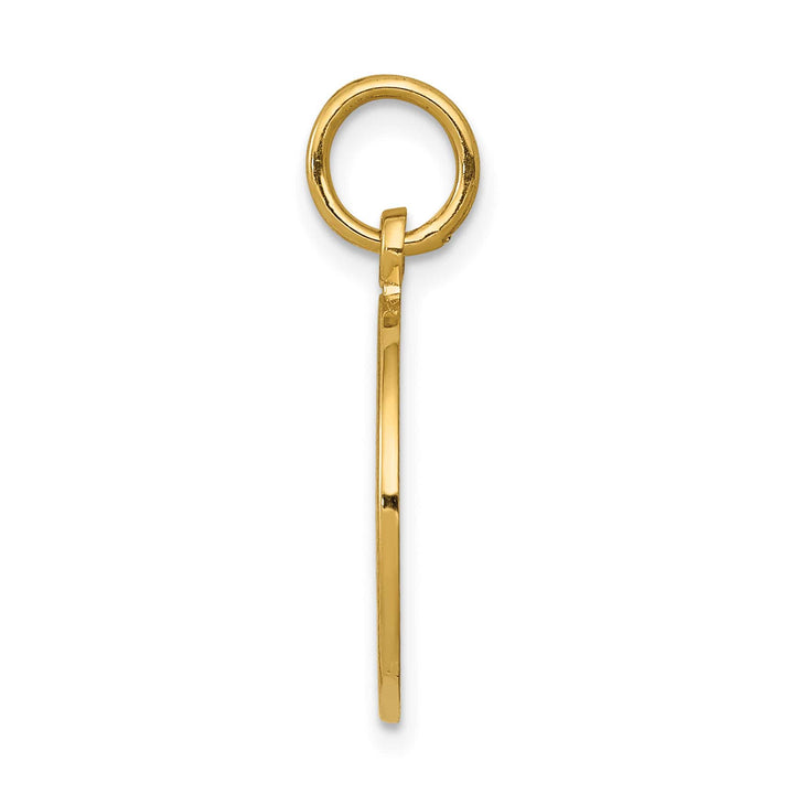 14K Yellow Gold Satin and Polished Communion Round Disc Charm