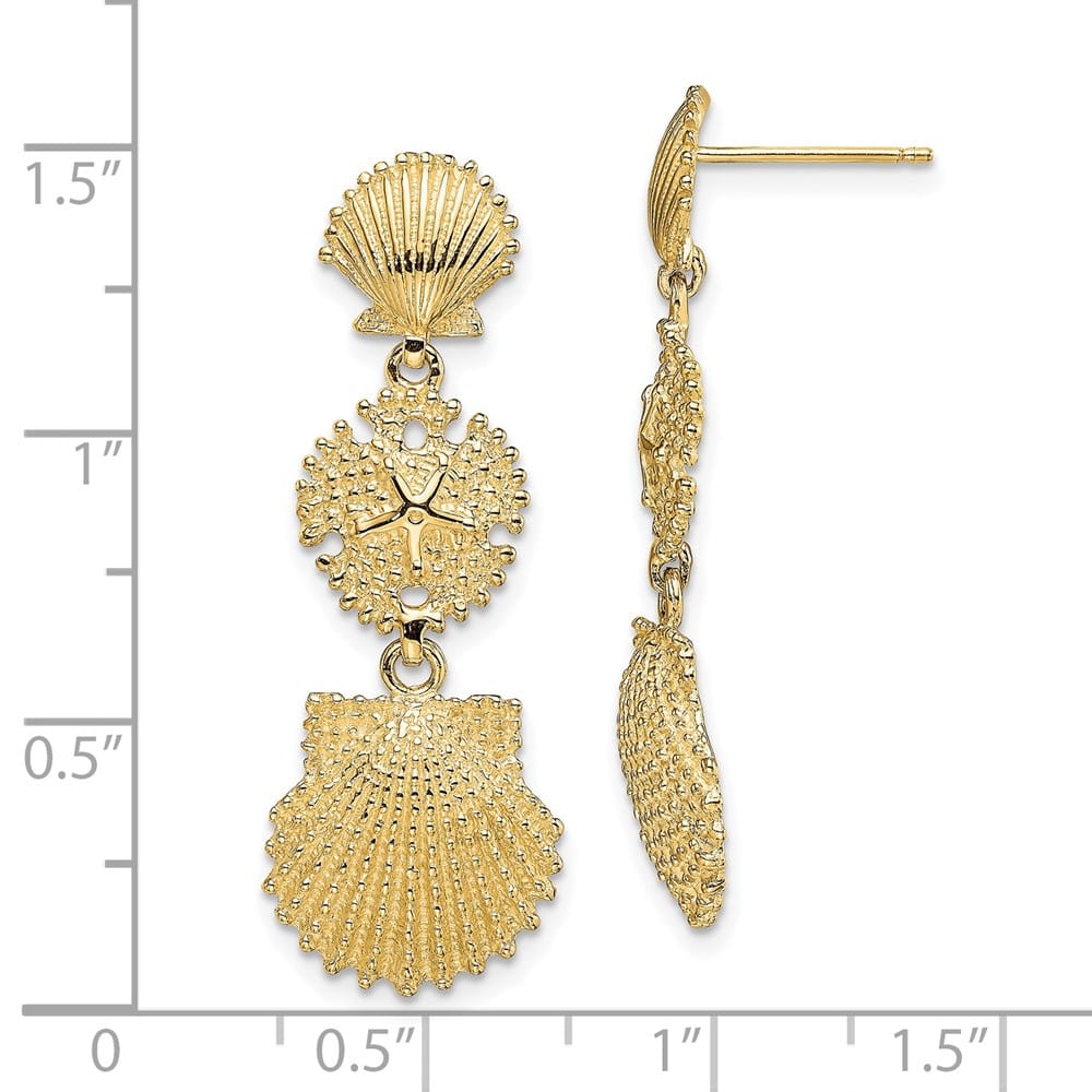 14K Yellow Gold Scallop, Sand Dollar,,Scallop Dangle Earrings, view 4 of 4