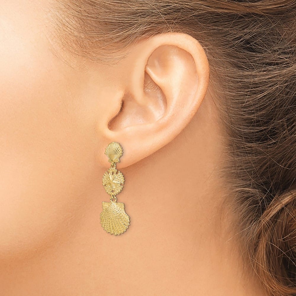 14K Yellow Gold Scallop, Sand Dollar,,Scallop Dangle Earrings, view 3 of 4