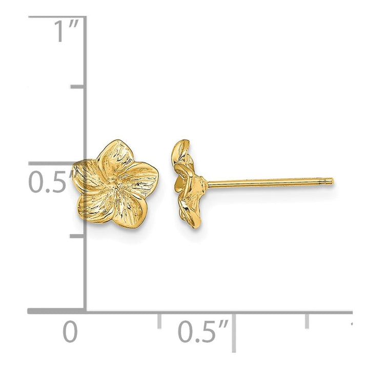 14K Yellow Gold Textured Plumeria Flower Post Earrings, view 4 of 4