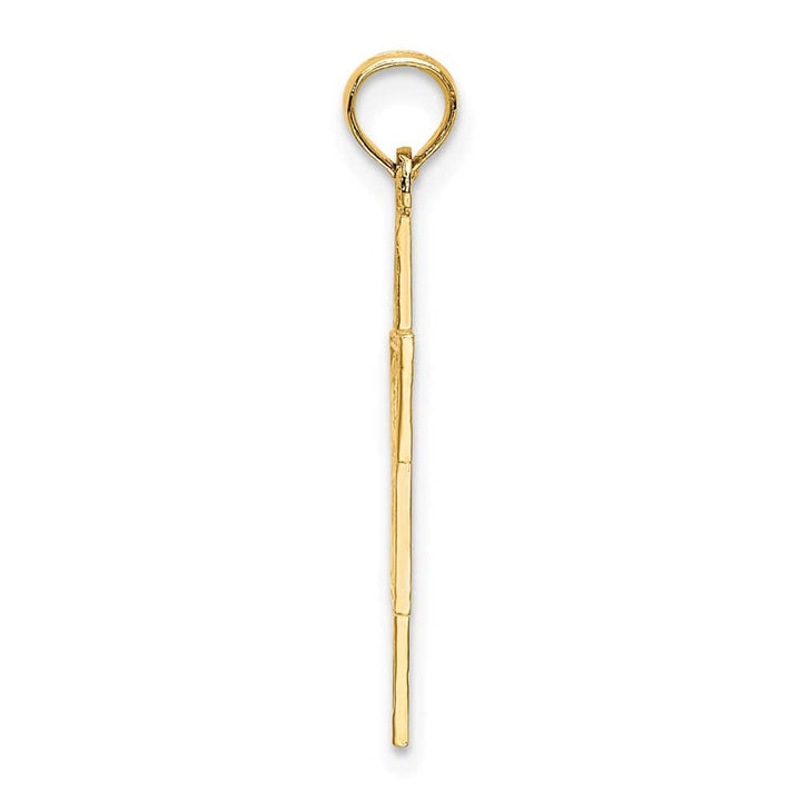 14K Yellow Gold Textured Star of David with Chai Charm