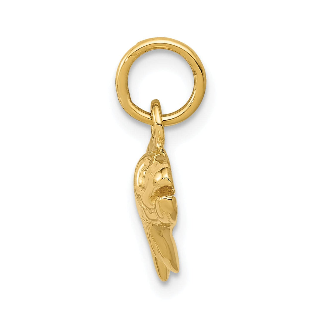 14k Yellow Gold Polished Finish Grouper Fish Charm Pendant