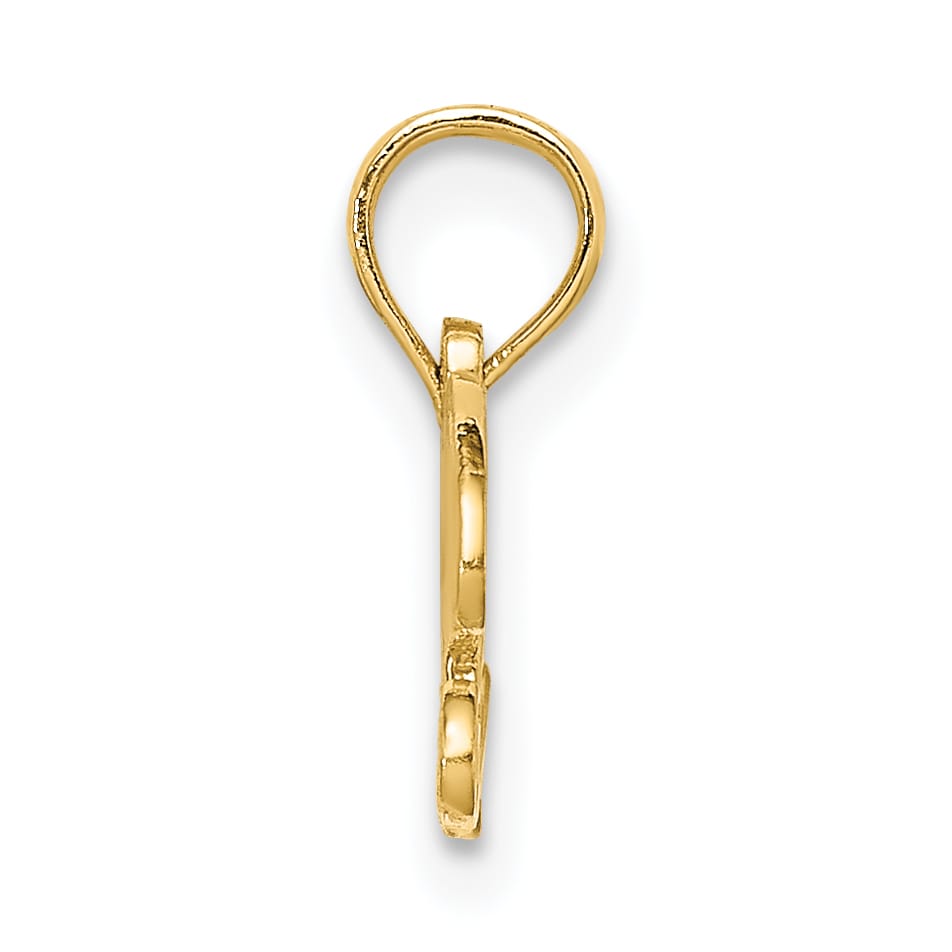 14K Yellow Gold Precious Charm