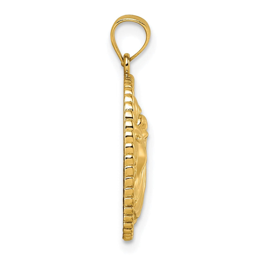 14k Yellow Gold Lion with Mane in Circle Design Pendant
