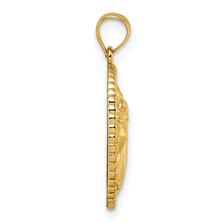 14k Yellow Gold Lion with Mane in Circle Design Pendant