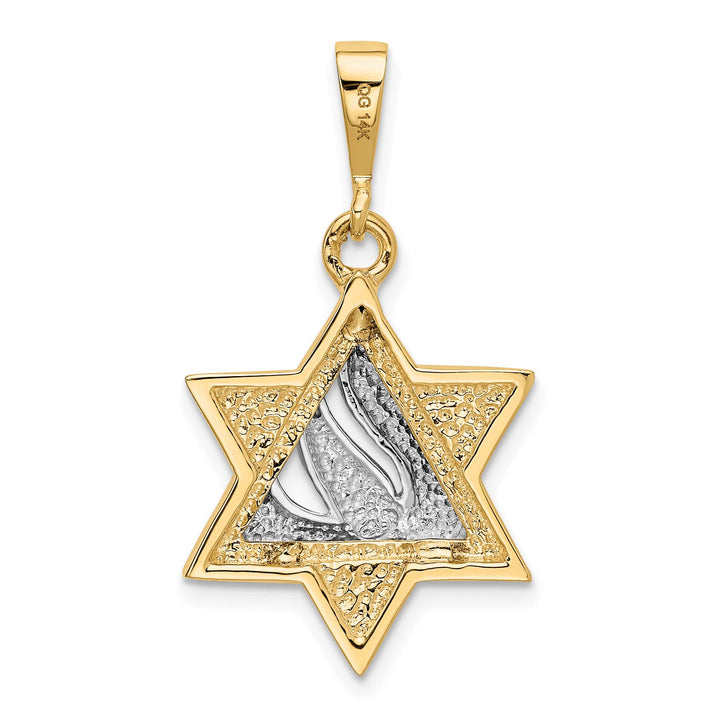 14K Two-Tone Gold Star of David with Shin Symbol Pendant