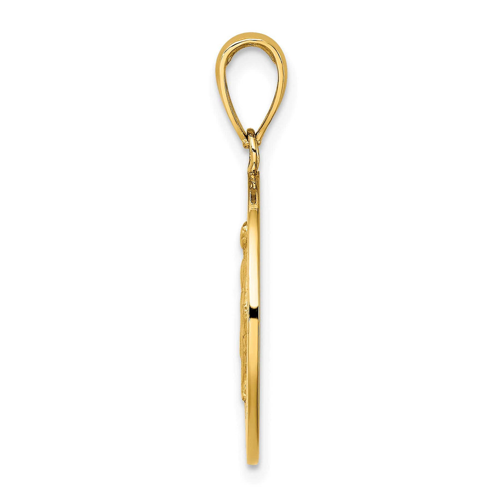 14K Yellow Gold Polished Satin Miraculous Medal Round Charm