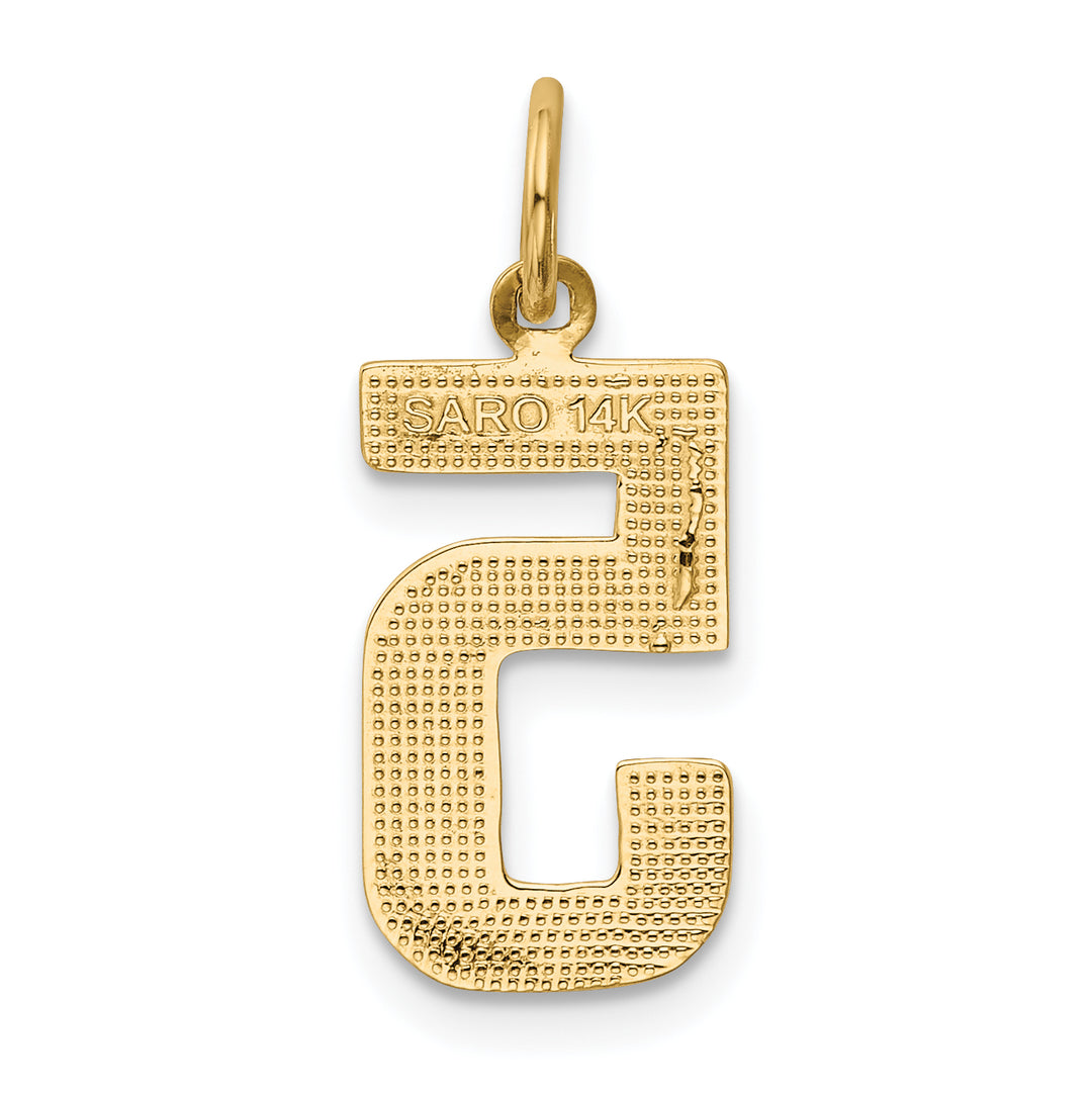 14k Yellow Gold Medium Polished Number 5 Charm