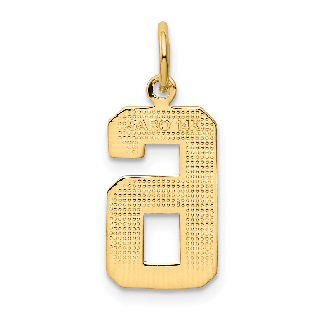 14k Yellow Gold Medium Polished Number 6 Charm