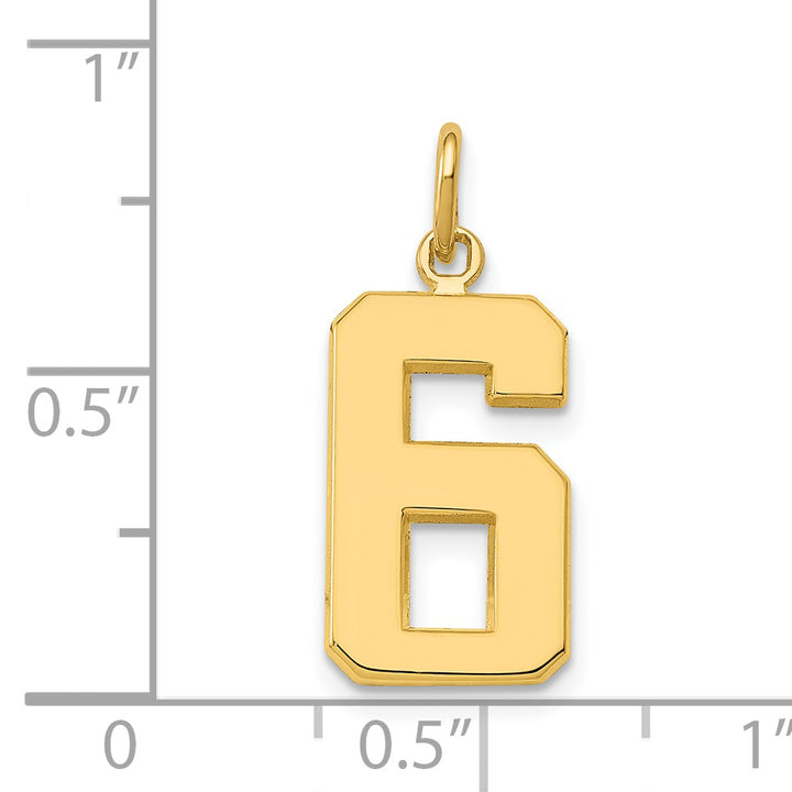 14k Yellow Gold Medium Polished Number 6 Charm