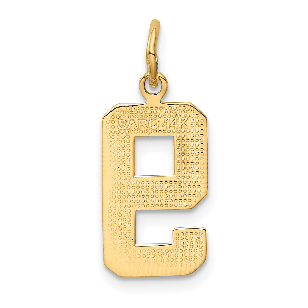 14k Yellow Gold Medium Polished Number 9 Charm