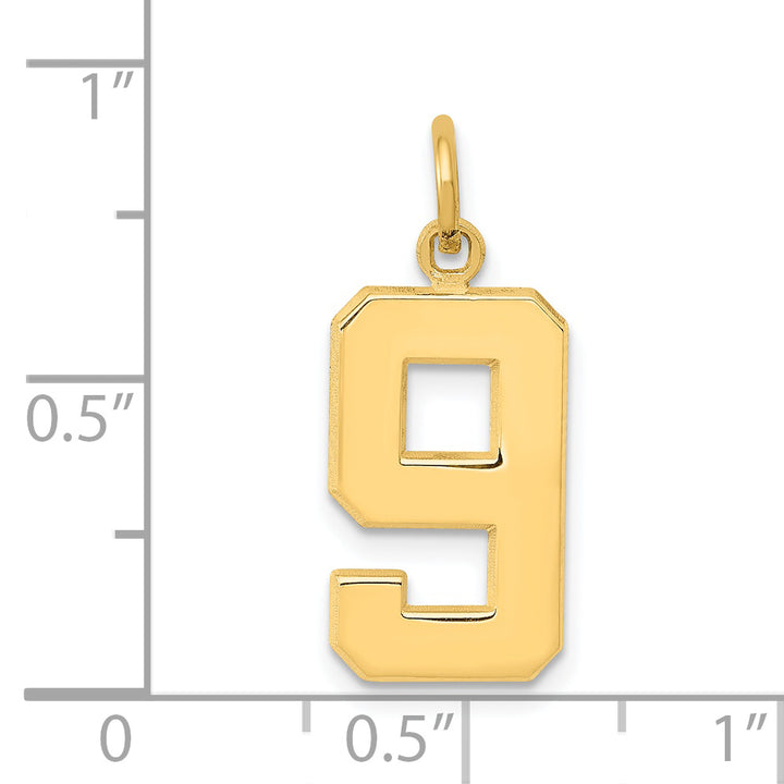 14k Yellow Gold Medium Polished Number 9 Charm