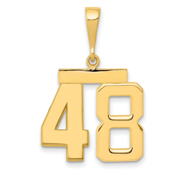 14k Yellow Gold Medium Polished Number 48 Charm