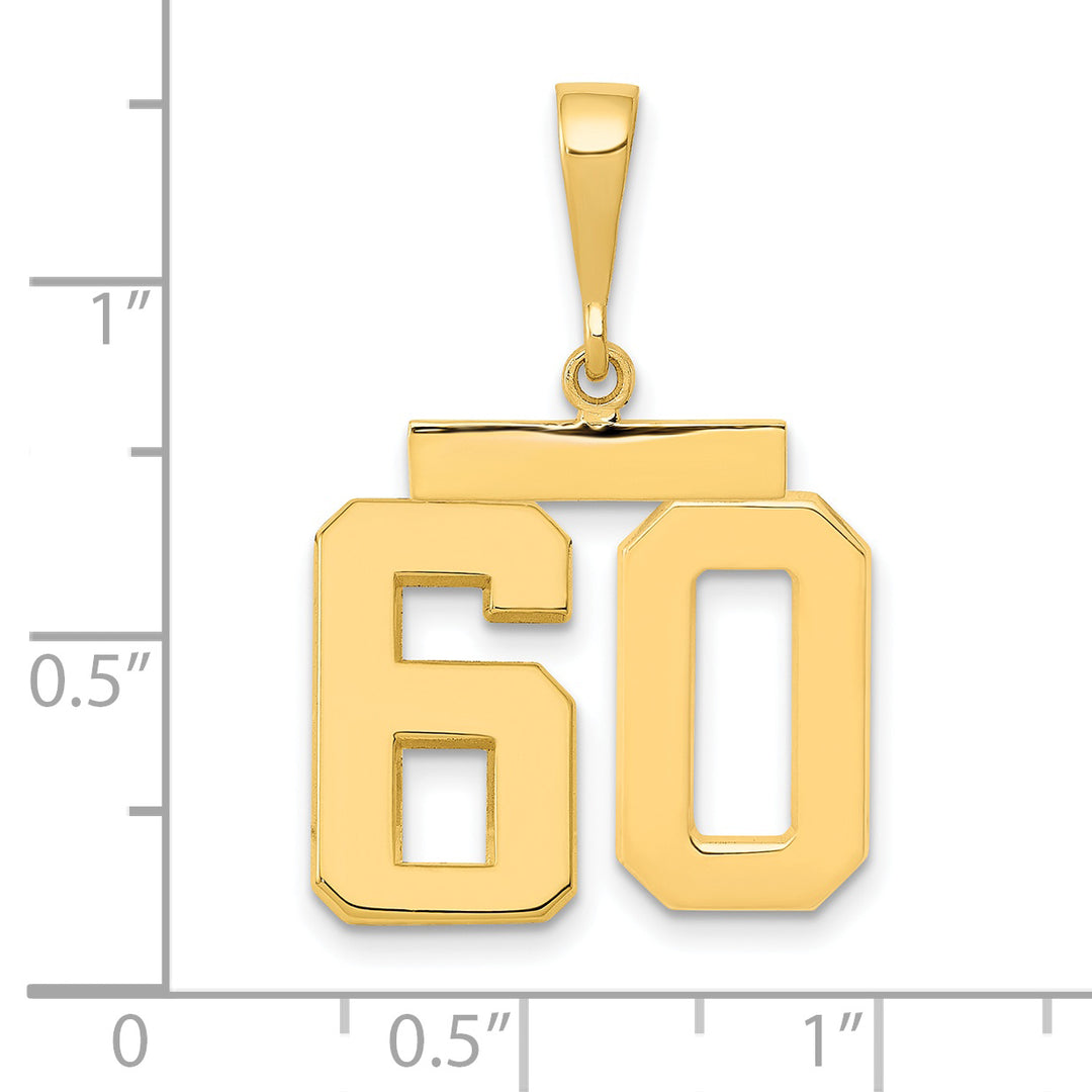 14k Yellow Gold Medium Polished Number 60 Charm