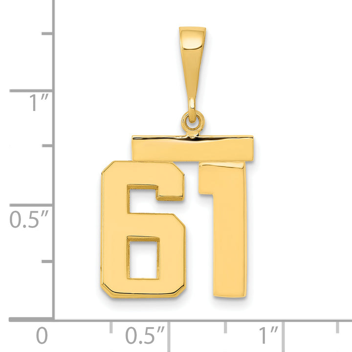 14k Yellow Gold Medium Polished Number 61 Charm