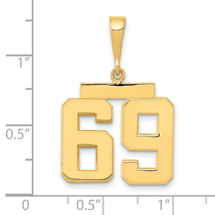 14k Yellow Gold Medium Polished Number 69 Charm