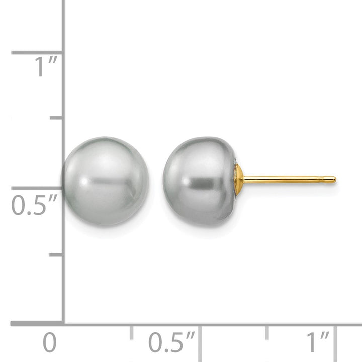 14K Yellow Gold 8-9mm Grey Button Freshwater Pearl Stud Post Earrings