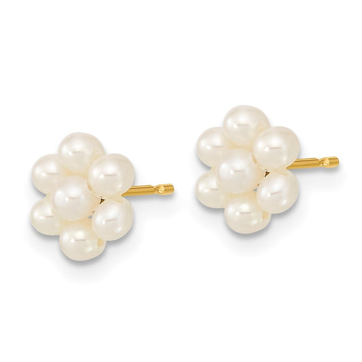 14K Yellow Gold 2-3mm White Button Freshwater Pearl Flower Earrings