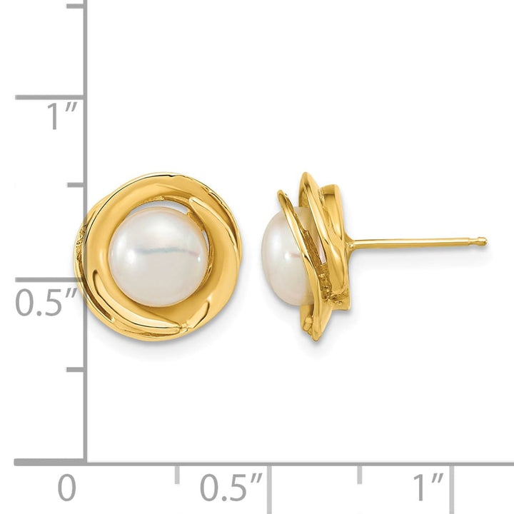 14K Yellow Gold 6-7mm White Button Freshwater Pearl Post Earrings