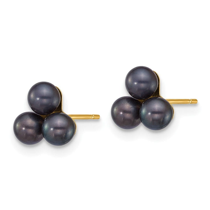 14K Yellow Gold 3-4mm Button Black Freshwater Cultured Earrings