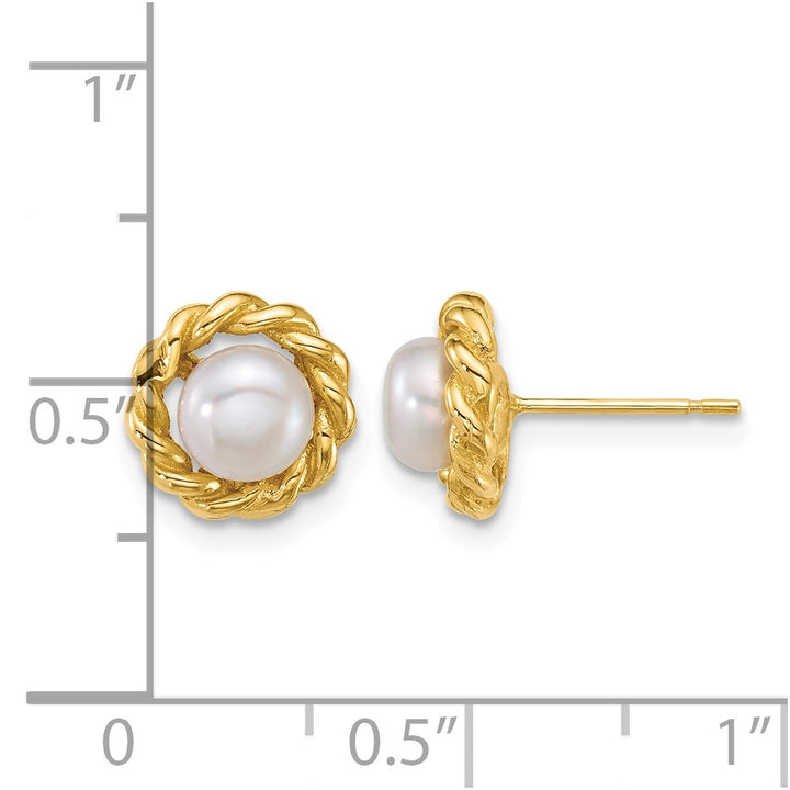 14K Yellow Gold 5-6mm Button White Freshwater Pearl Twisted Earrings