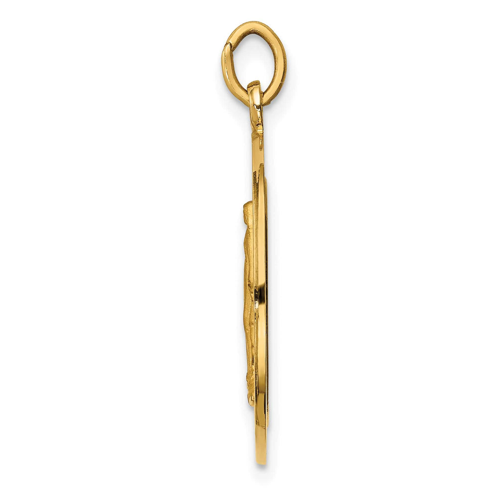 14K Yellow Gold Polished Satin Medium Miraculous Medal Round Pendant