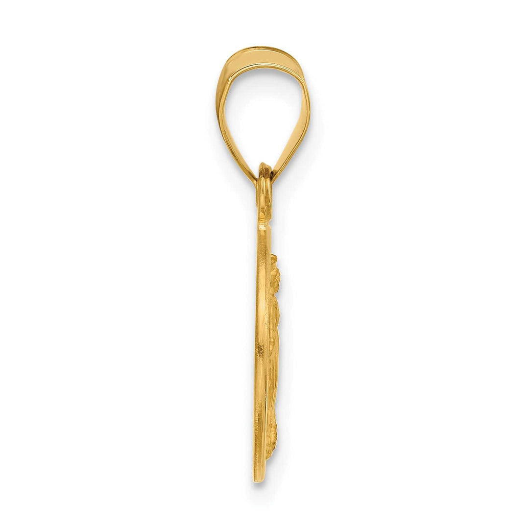 14K Yellow Gold Polished Satin Miraculous Medal Plain Back Pendant