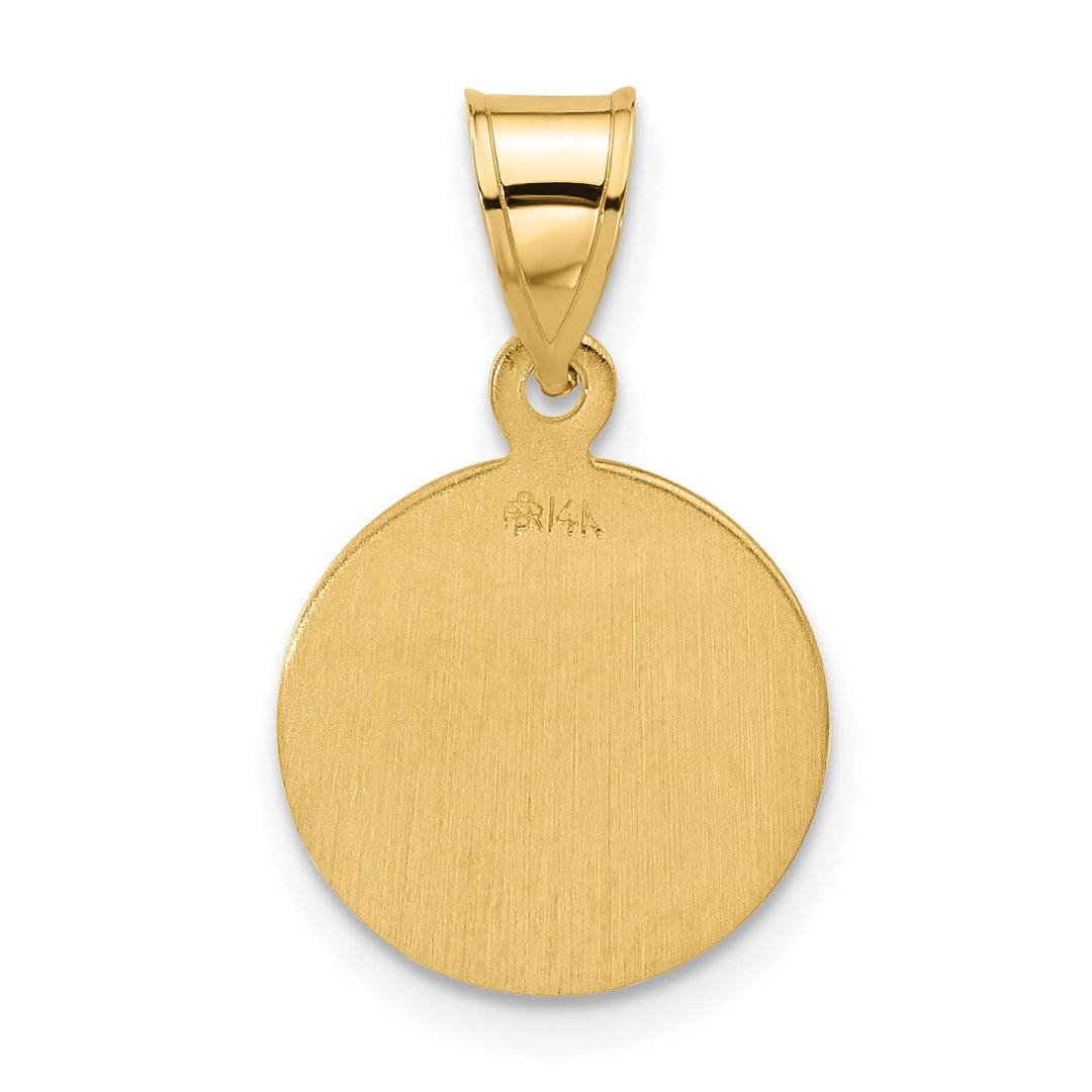 14K Yellow Gold Polished Satin Miraculous Medal Plain Back Pendant