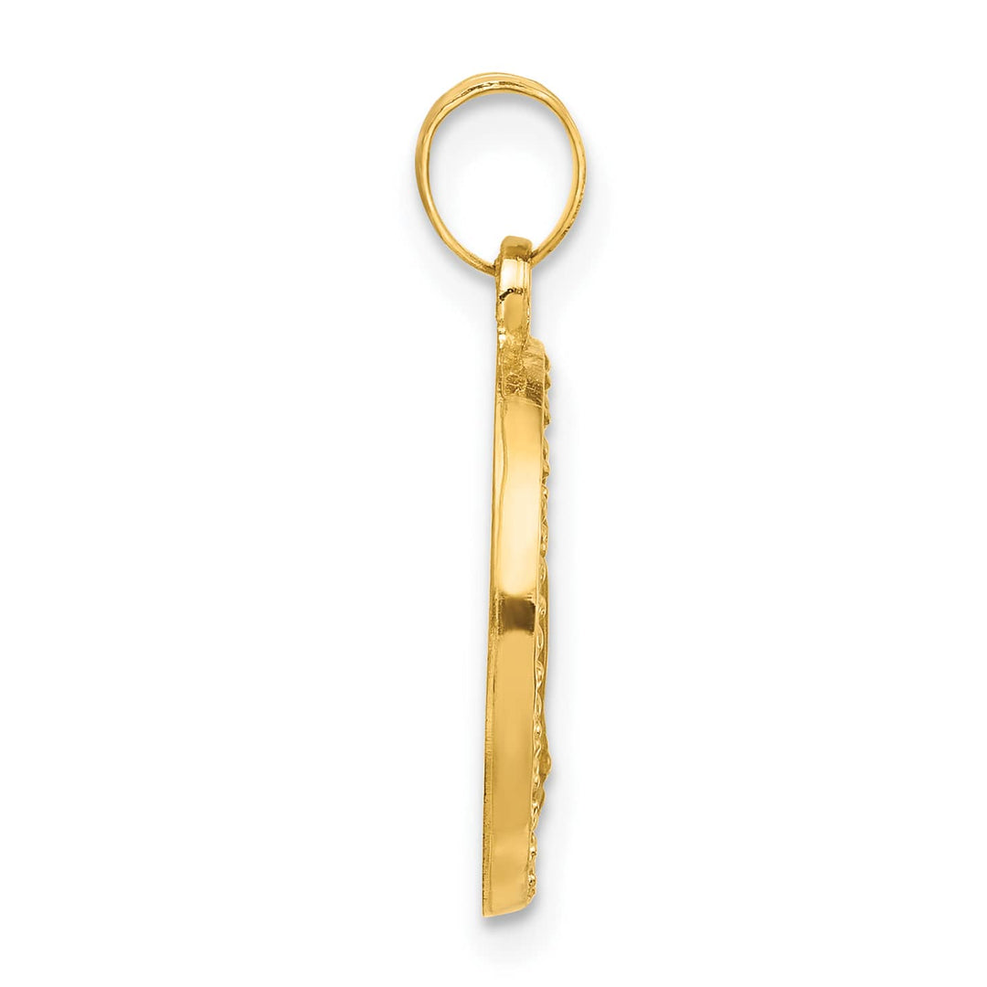14K Yellow Gold Polished Satin Miraculous Medal Plain Back Pendant