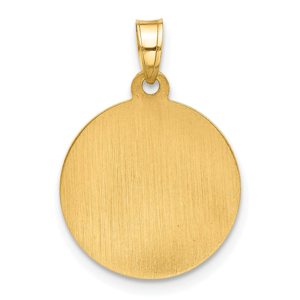 14K Yellow Gold Polished Satin Miraculous Medal Plain Back Pendant
