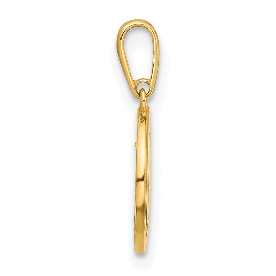 14k Yellow Gold  C.Z Moon and Stars in Disc Design Pendant