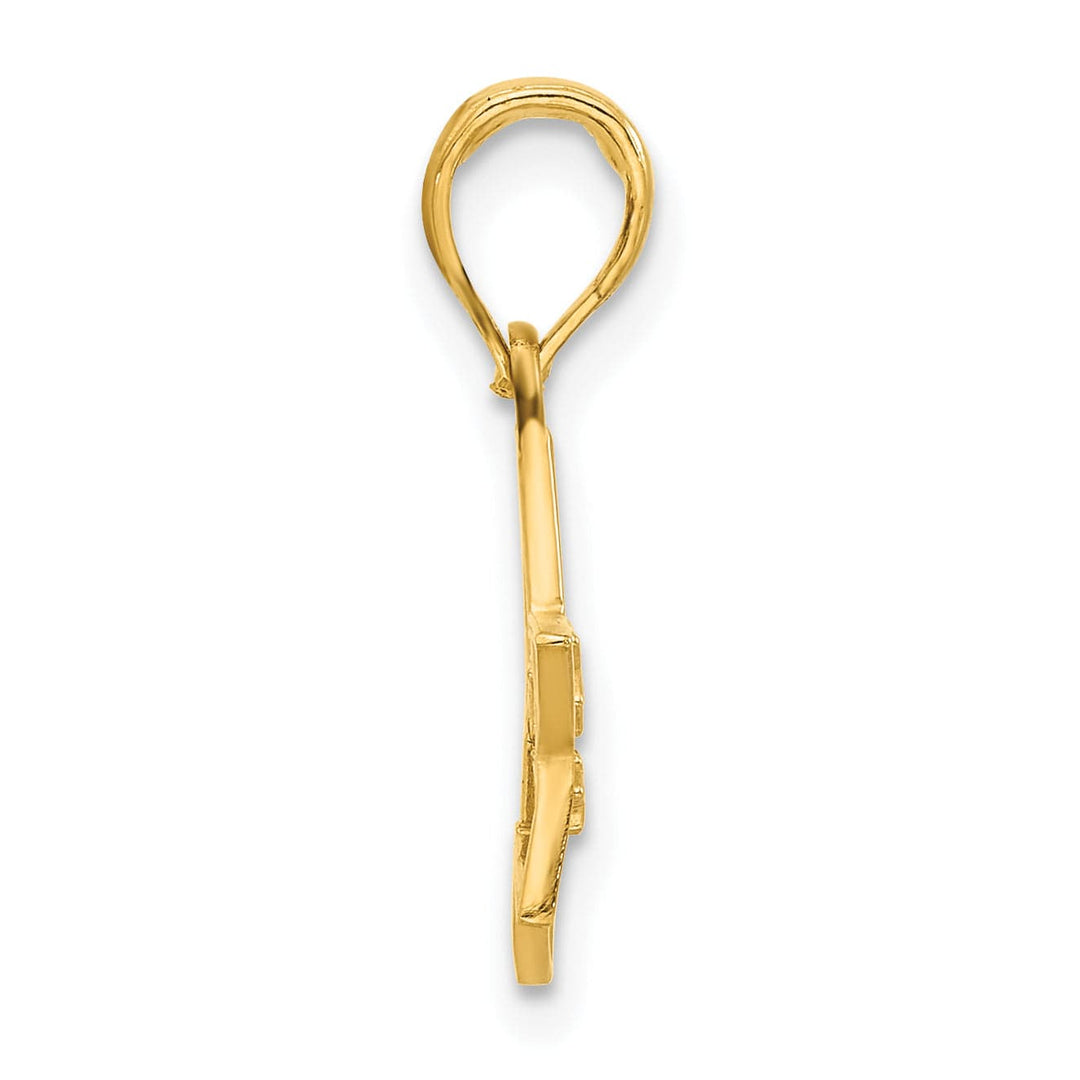 Lovely Rita's Charms & Pendants 14k Yellow Gold Polished Star in Stars Design Pendant