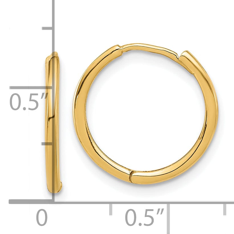 Lovely Rita's Earrings 14K Yellow Gold Fine Polished 16mm Round Hinged Hoop Earrings