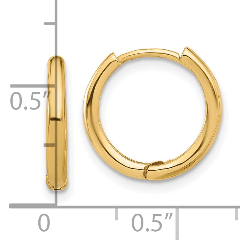 Lovely Rita's Earrings 14K Yellow Gold Pretty Polished 14.3mm Round Hinged Hoop Earrings