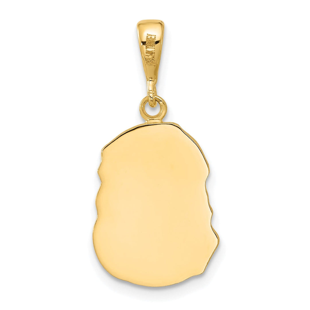 Lovely Rita's Pendants & Charms 14K Yellow Gold Elegant Polished Diamond-Cut Jesus Medal