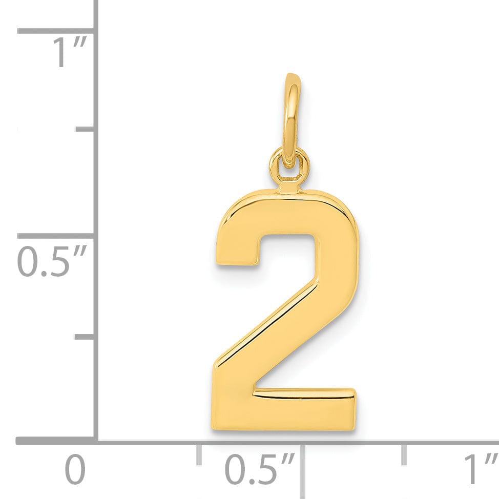 Lovely Rita's Pendants & Charms 14k Yellow Gold Medium Polished Number 2 Charm