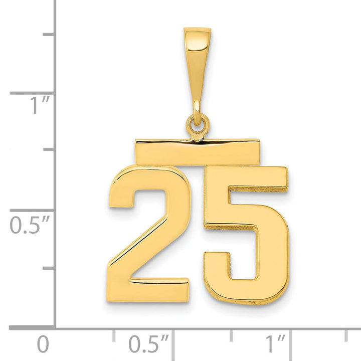 Lovely Rita's Pendants & Charms 14k Yellow Gold Medium Polished Number 25 Charm