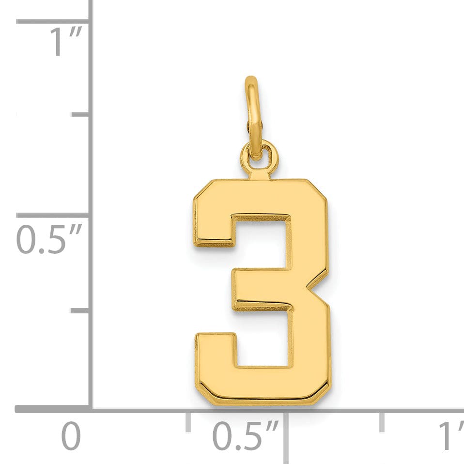 Lovely Rita's Pendants & Charms 14k Yellow Gold Medium Polished Number 3 Charm