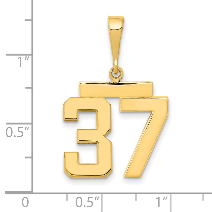 Lovely Rita's Pendants & Charms 14k Yellow Gold Medium Polished Number 37 Charm