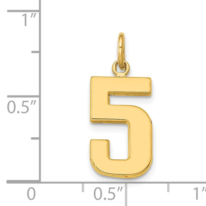 Lovely Rita's Pendants & Charms 14k Yellow Gold Medium Polished Number 5 Charm