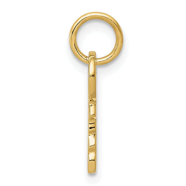 Lovely Rita's Pendants & Charms 14k Yellow Gold Polished 3-D Rounded Top Key Charm
