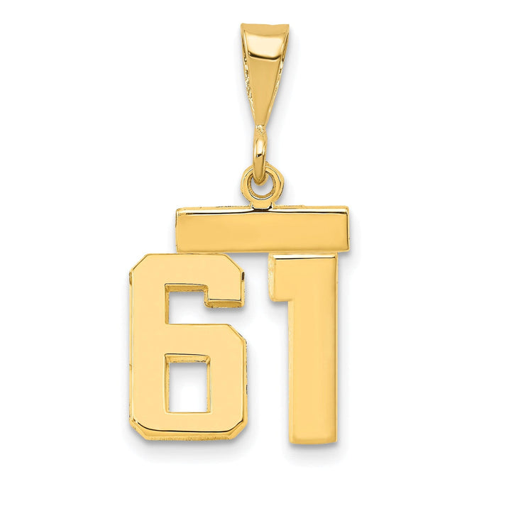 Lovely Rita's Pendants & Charms 14k yellow gold small polished number 61 charm