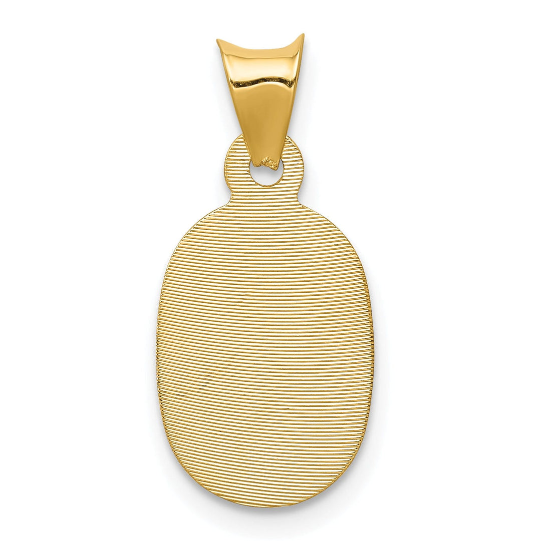 Lovely Rita's Pendants & Charms 14K Yellow Gold Statement Polished D.C Corpus Oval Pendant