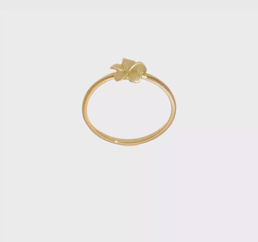 14k Yellow Gold Satin and D.C. Plumeria Ring, view 6 of 6