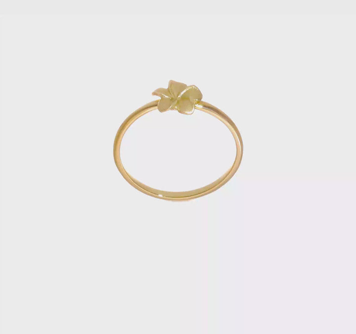 14k Yellow Gold Satin and D.C. Plumeria Ring, view 6 of 6