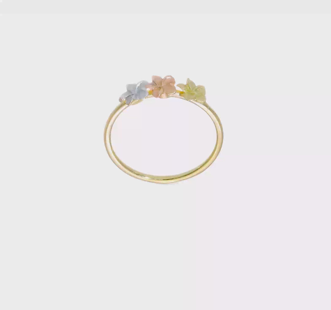 14k Two-Tone Gold Polished and Satin 3 Plumeria Flowers Ring, view 6 of 6
