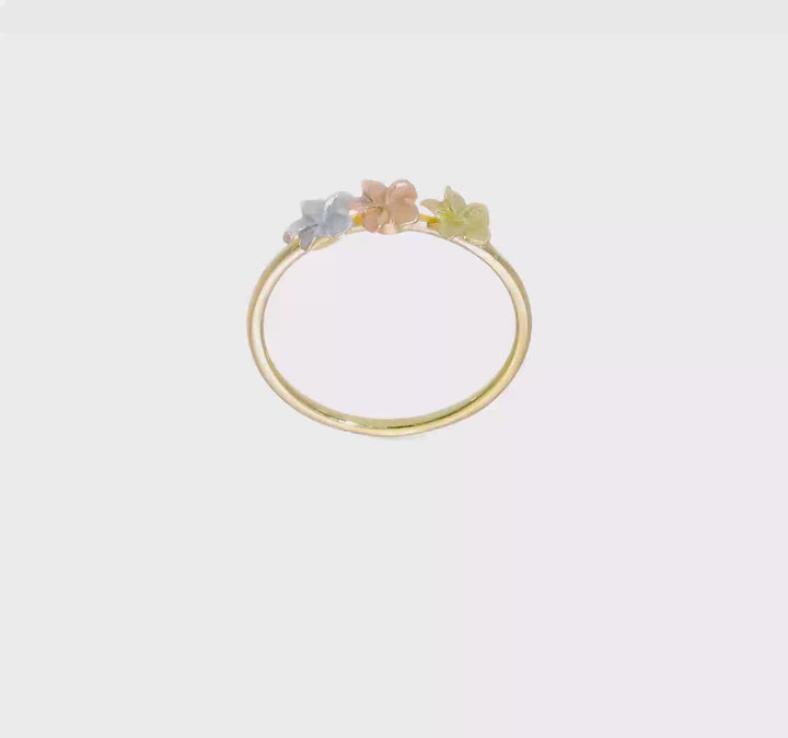 14k Two-Tone Gold Polished and Satin 3 Plumeria Flowers Ring, view 6 of 6