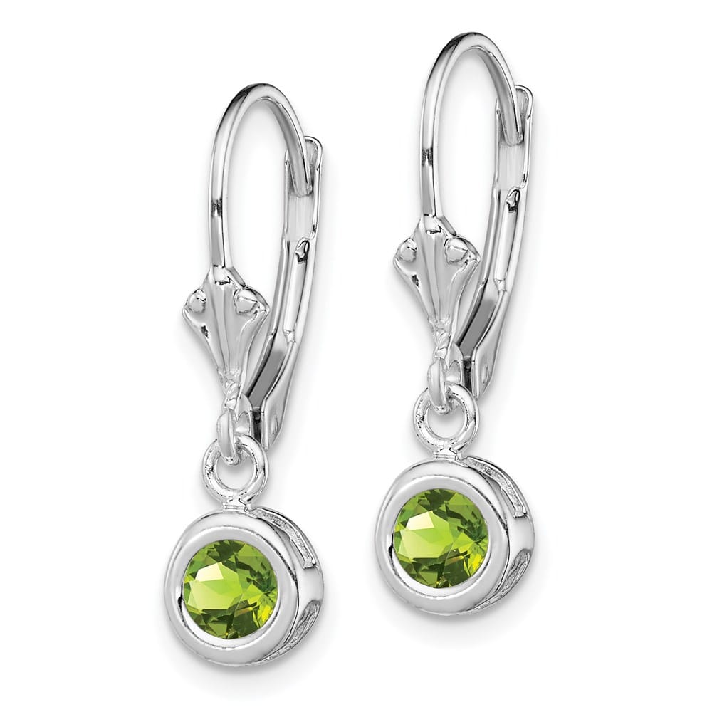 Sterling Silver 5mm Round Leverback Earrings, view 14 of 16