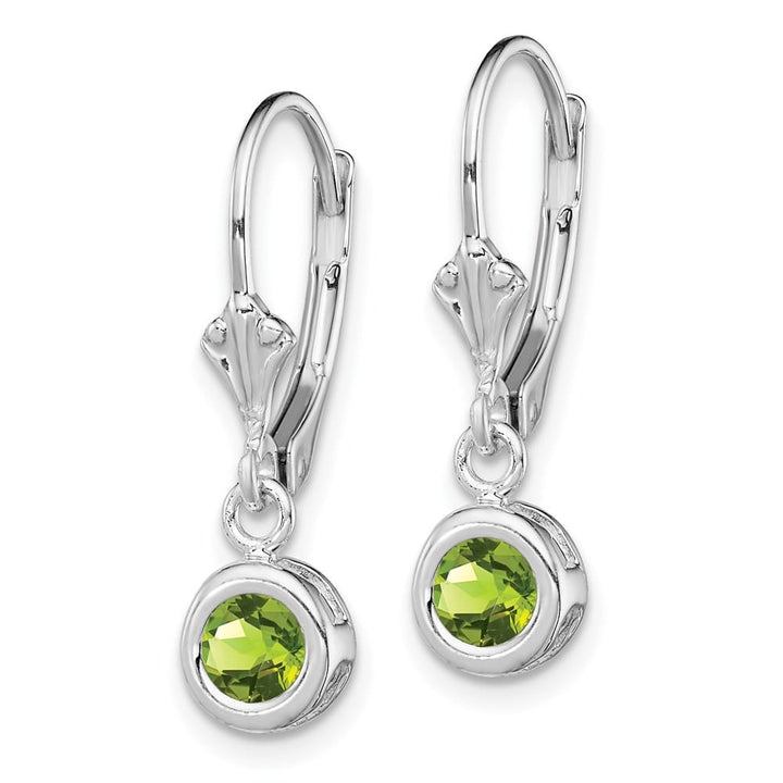 Sterling Silver 5mm Round Leverback Earrings, view 14 of 16